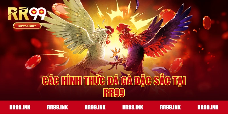 Sảnh đá gà RR99 sở hữu hàng loạt hình thức chọi kê đặc sắc
