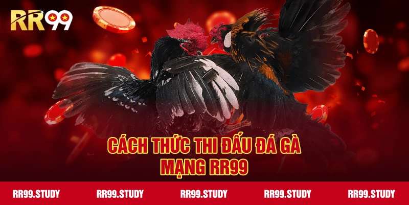 Cách thức tham gia thi đấu đá gà mạng RR99